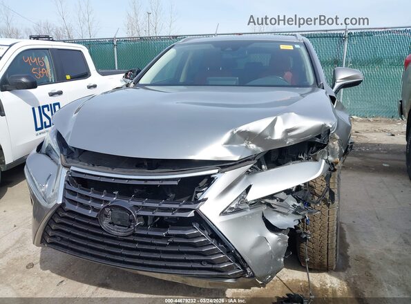 JTJDARDZXM5030012 2021 LEXUS NX 300 Gray 