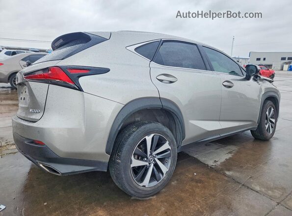 JTJGARBZ8M2185241 2021 LEXUS NX Gray Հետևի աջ
