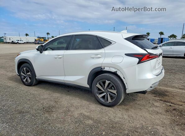 JTJGARBZ8M5021079 2021 LEXUS NX White Trasero izquierdo