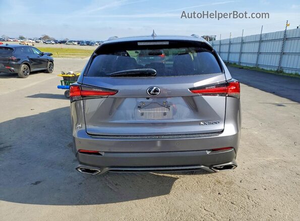 JTJGARBZ9M2198208 2021 LEXUS NX Charcoal Rear view