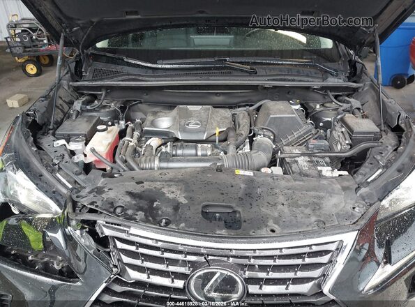 JTJGARDZ1M2245809 2021 LEXUS NX 300 Black Vista trasera