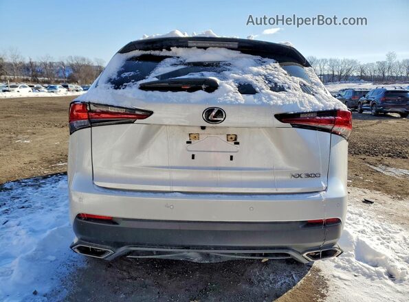 JTJGARDZ2M5023018 2021 LEXUS NX Белый Вид сзади