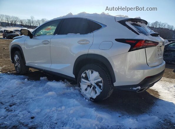 JTJGARDZ2M5023018 2021 LEXUS NX Белый Задняя левая четверть