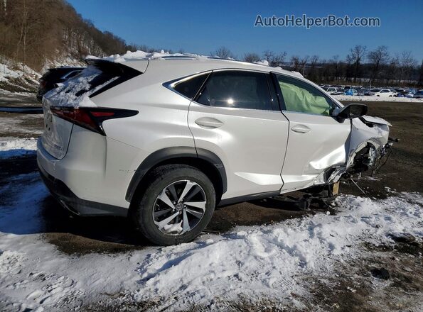 JTJGARDZ2M5023018 2021 LEXUS NX Белый Задняя правая четверть
