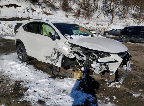 JTJGARDZ2M5023018 2021 LEXUS NX Белый Передняя правая четверть