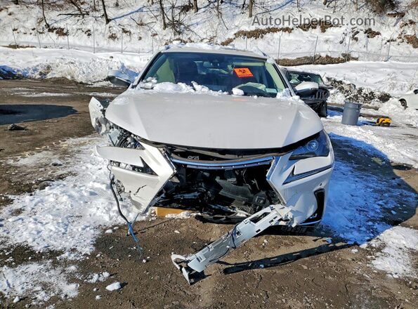 JTJGARDZ2M5023018 2021 LEXUS NX Белый Вид спереди