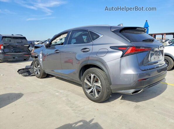 JTJGARDZ3M2238084 2021 LEXUS NX Gray უკანა მარცხენა