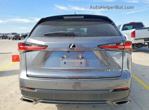 JTJGARDZ3M2238084 2021 LEXUS NX Gray უკანა ხედი