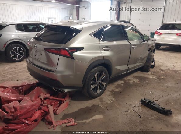 JTJGARDZ5L2224069 2020 LEXUS NX 300 Gray Rear right
