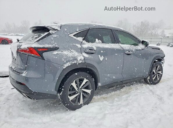 JTJGARDZ5M2236420 2021 LEXUS NX Charcoal Задня права чверть