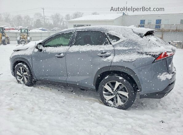 JTJGARDZ5M2236420 2021 LEXUS NX Charcoal Задня ліва чверть