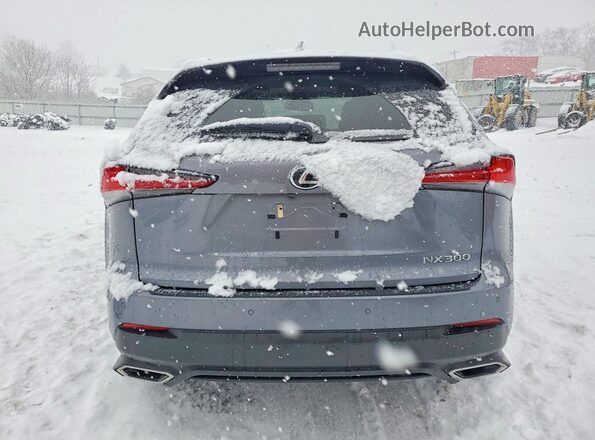 JTJGARDZ5M2236420 2021 LEXUS NX Charcoal Вид ззаду