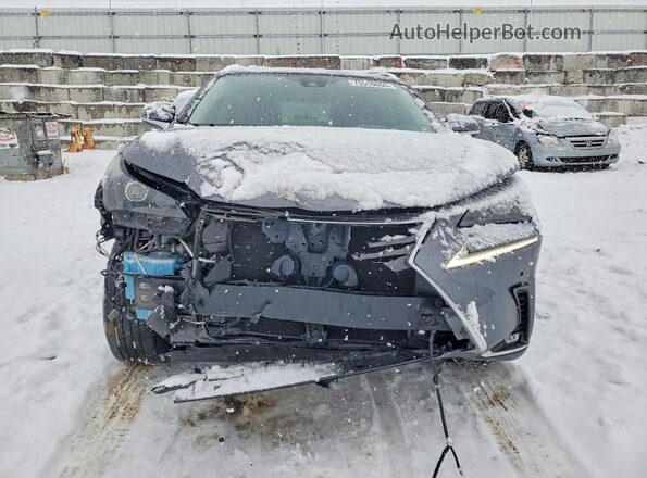 JTJGARDZ5M2236420 2021 LEXUS NX Charcoal Вид спереду