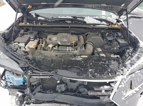 JTJGARDZ5M2236420 2021 LEXUS NX Charcoal Вид підкапотного простору