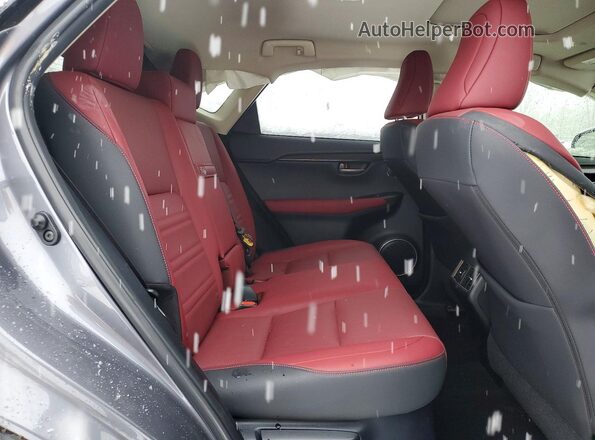 JTJGARDZ5M2236420 2021 LEXUS NX Charcoal Вид задньої частини салону