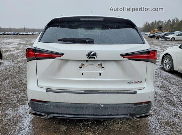 JTJGARDZ9M5019080 2021 LEXUS NX White 