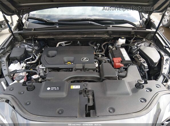 JTJGDCAZ8N5005083 2022 LEXUS NX 250 Gray უკანა ხედი