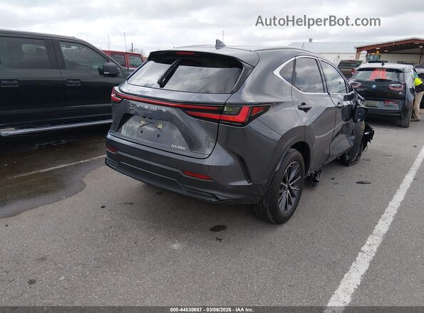 JTJGDCAZ8N5005083 2022 LEXUS NX 250 Gray უკანა მარჯვენა