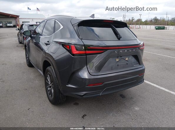 JTJGDCAZ8N5005083 2022 LEXUS NX 250 Gray უკანა მარცხენა