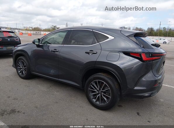 JTJGDCAZ8N5005083 2022 LEXUS NX 250 Gray სალონის 360-გრადუსიანი ხედი