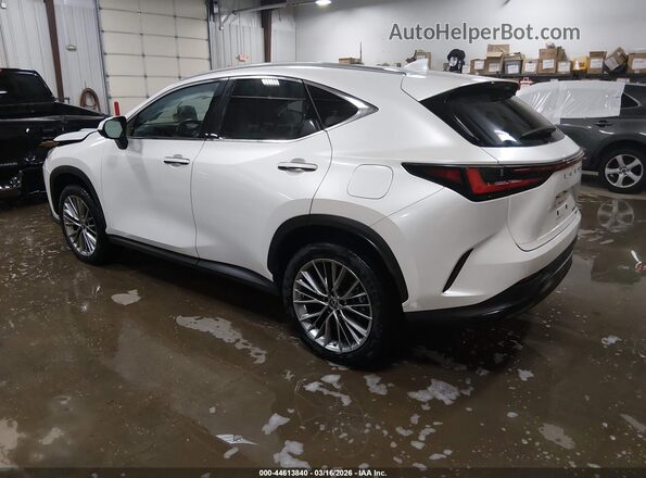 JTJGGCEZ1N5003936 2022 LEXUS NX 350 White Trasero izquierdo