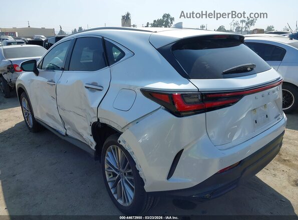 JTJGGCEZ4S5011508 2025 LEXUS NX 350 White Tył lewy