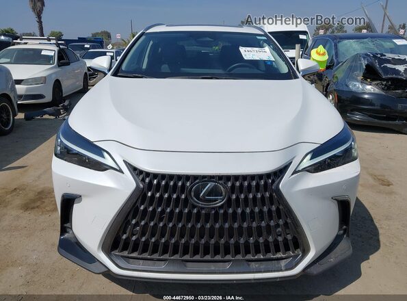 JTJGGCEZ4S5011508 2025 LEXUS NX 350 White Widok wnętrza z tyłu