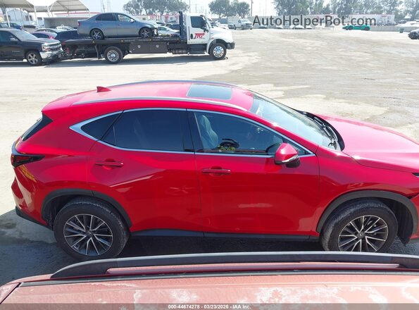 JTJGGCEZ8N2004146 2022 LEXUS NX 350 Red უკანა სალონის ხედი