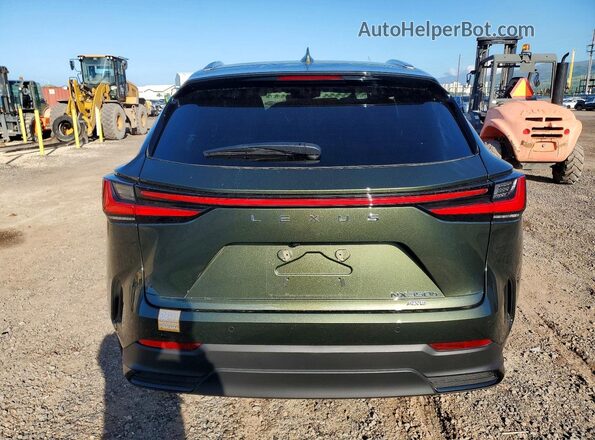 JTJGKCEZ2S2048881 2025 LEXUS NX Green Widok z tyłu