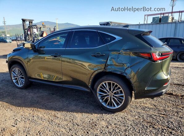 JTJGKCEZ2S2048881 2025 LEXUS NX Green Tył lewy