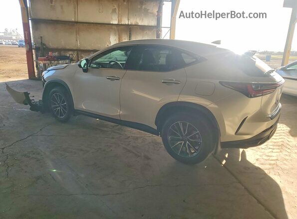 JTJGKCEZ2S5038642 2025 LEXUS NX Белый Задняя левая четверть