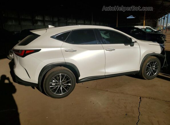 JTJGKCEZ2S5038642 2025 LEXUS NX Белый Задняя правая четверть