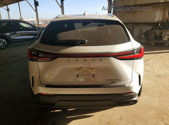 JTJGKCEZ2S5038642 2025 LEXUS NX Белый Вид сзади