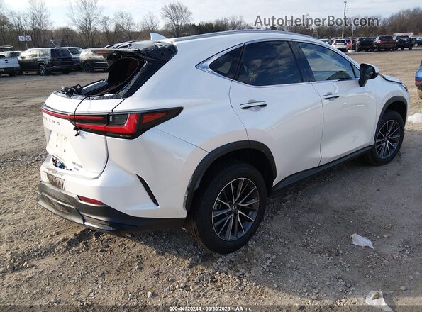 JTJGKCEZ3S5024751 2025 LEXUS NX 350H White Задня права чверть
