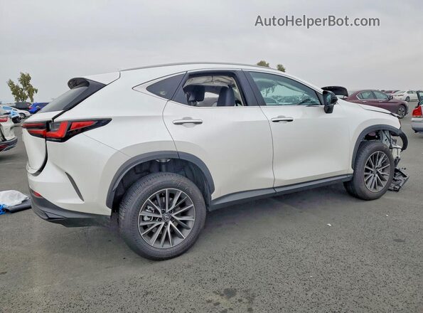 JTJGKCEZ6S5036151 2025 LEXUS NX White Задня права чверть