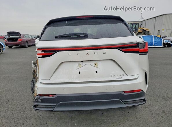 JTJGKCEZ6S5036151 2025 LEXUS NX White Вид ззаду