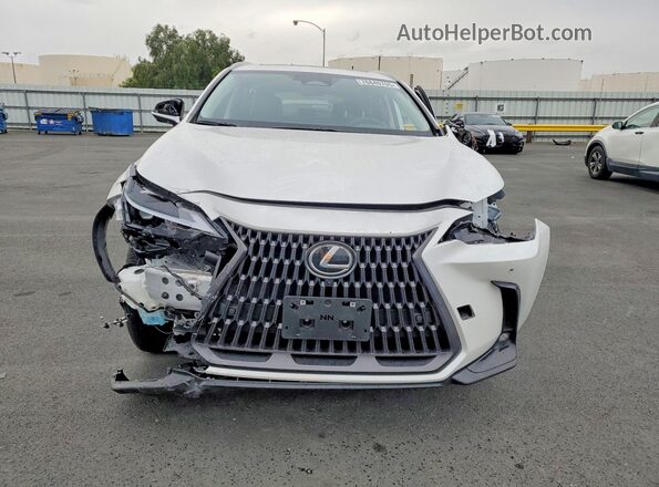JTJGKCEZ6S5036151 2025 LEXUS NX White Вид спереду