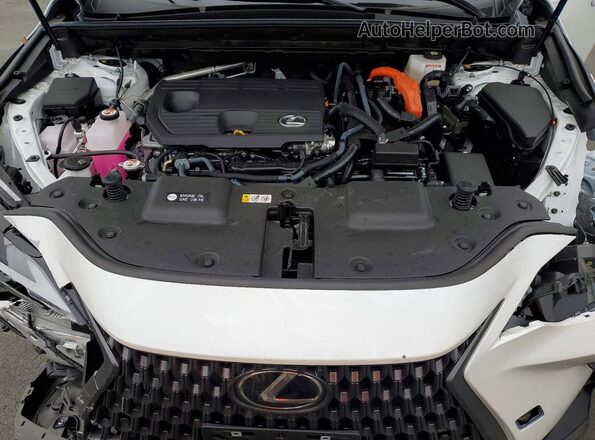 JTJGKCEZ6S5036151 2025 LEXUS NX White Вид задньої частини салону