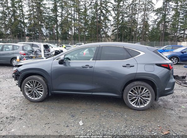 JTJHKCEZ2N2010382 2022 LEXUS NX 350H Gray 