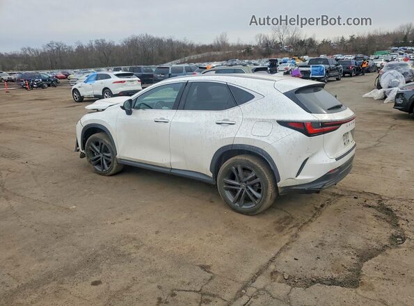 JTJHKCFZ5P2015772 2023 LEXUS NX White Հետևի ձախ