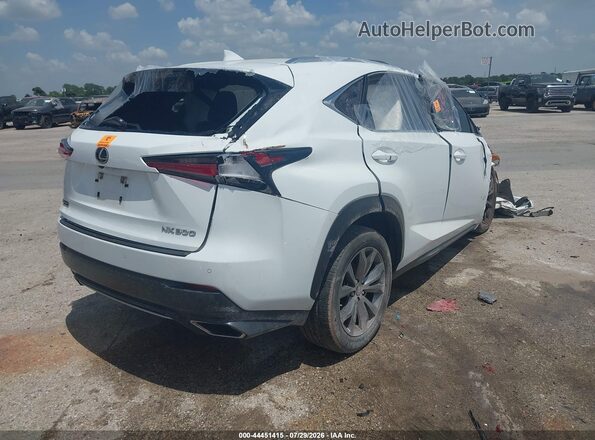 JTJSARBZ0L5001546 2020 LEXUS NX 300 White Հետևի աջ