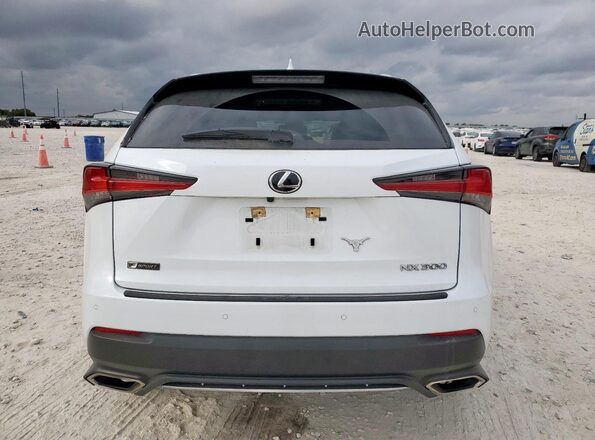 JTJSARBZ1M5021192 2021 LEXUS NX Белый Вид сзади