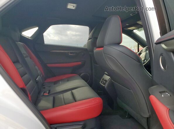 JTJSARBZ1M5021192 2021 LEXUS NX Белый Вид задней части салона
