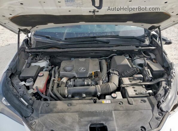 JTJSARBZ1M5021192 2021 LEXUS NX Белый Вид подкапотного пространства