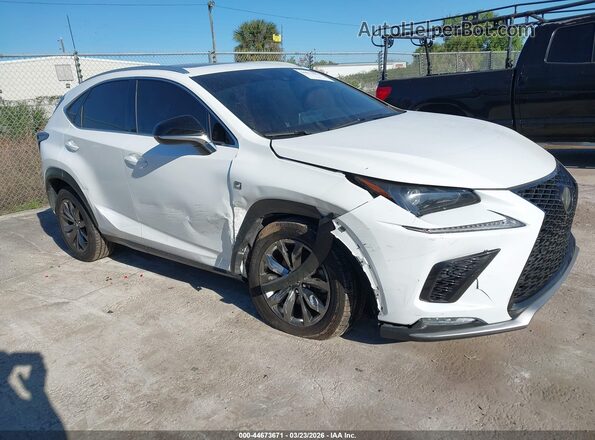 JTJSARBZ6M2192506 2021 LEXUS NX 300 Белый Вид спереди