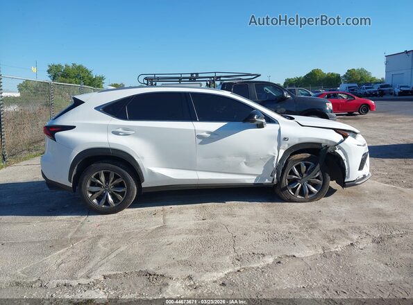 JTJSARBZ6M2192506 2021 LEXUS NX 300 Белый Вид задней части салона