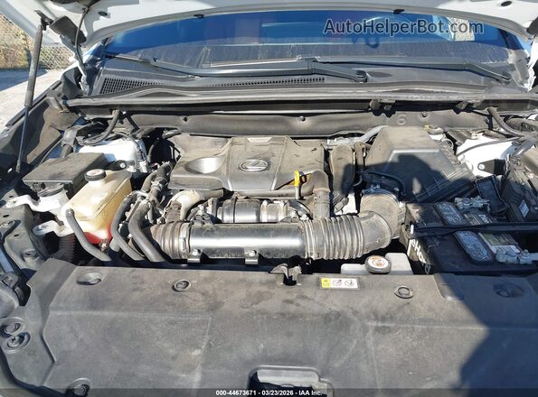 JTJSARBZ6M2192506 2021 LEXUS NX 300 Белый Вид сзади