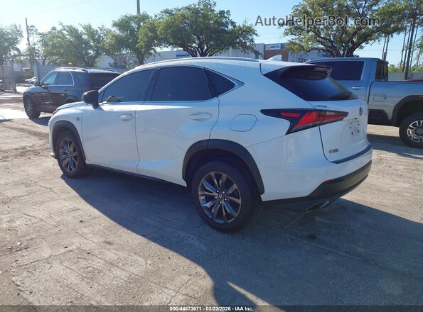 JTJSARBZ6M2192506 2021 LEXUS NX 300 Белый Задняя левая четверть