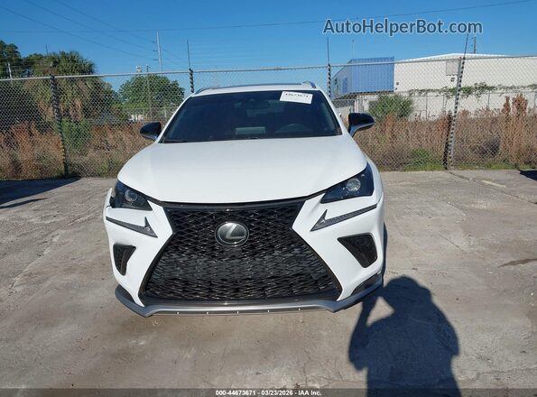 JTJSARBZ6M2192506 2021 LEXUS NX 300 Белый Вид щитка приборов
