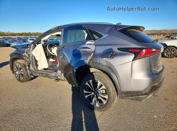 JTJSARDZ1M2243052 2021 LEXUS NX Gray უკანა მარცხენა